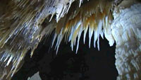 stala