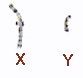 xxxy